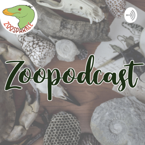 Zoopodcast