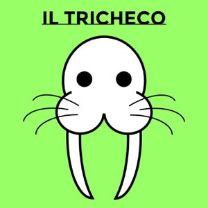 Il Tricheco