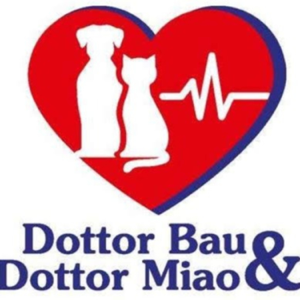 Dottor Bau & Dottor Miao