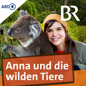 Sumatra-Tiger – bedrohte Großkatzen und lautlose Jäger