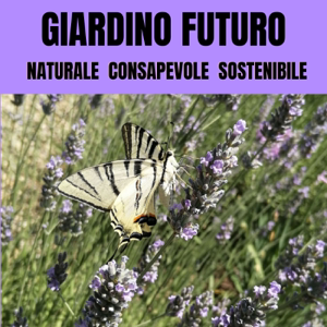 #253 Il prato inglese è in crisi: cosa possiamo imparare dal clima