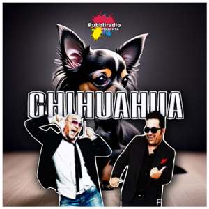 Chihuahua Comico