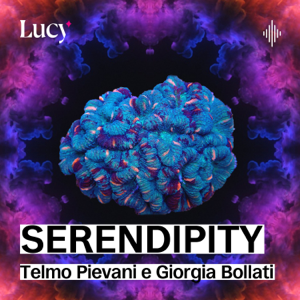Serendipity