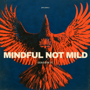 Mindful Not Mild