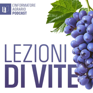 Lezioni di Vite