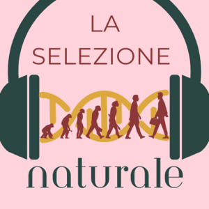 La Selezione Naturale