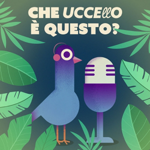 Che uccello è questo?