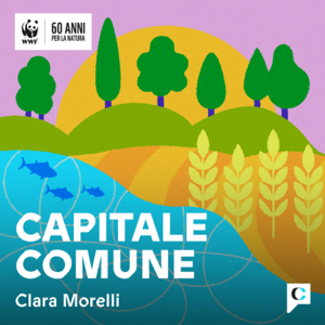 Capitale comune