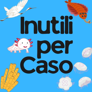 Inutili Per Caso
