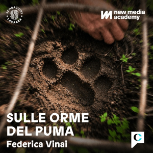 Sulle orme del puma